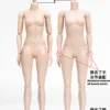 1/6 Scale female pale Body