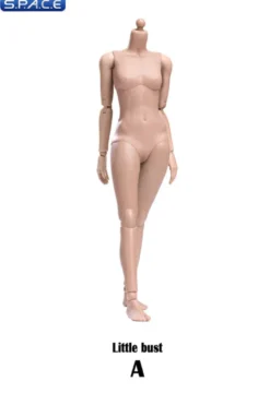1/6 Scale female suntan Body