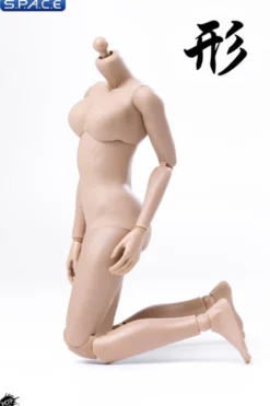 1/6 Scale female suntan Body