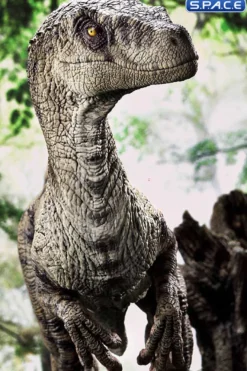 1/6 Scale Female Velociraptor Legacy Museum Collection Statue