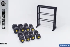 1/6 Scale Fitness Equipment