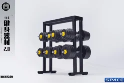 1/6 Scale Fitness Equipment