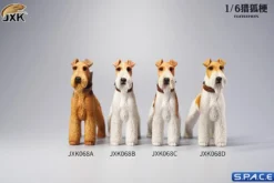 1/6 Scale Foxterrier