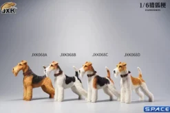 1/6 Scale Foxterrier