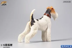 1/6 Scale Foxterrier