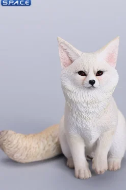 1/6 Scale Fox Version B