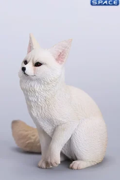 1/6 Scale Fox Version B