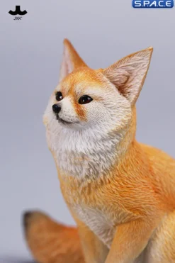 1/6 Scale Fox Version C