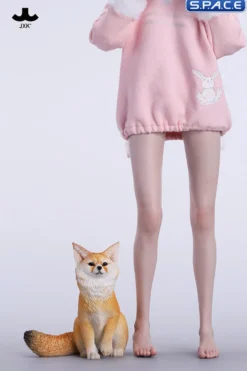 1/6 Scale Fox Version C