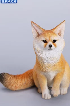1/6 Scale Fox Version C