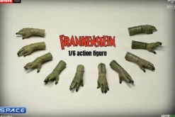 1/6 Scale Frankenstein's Monster