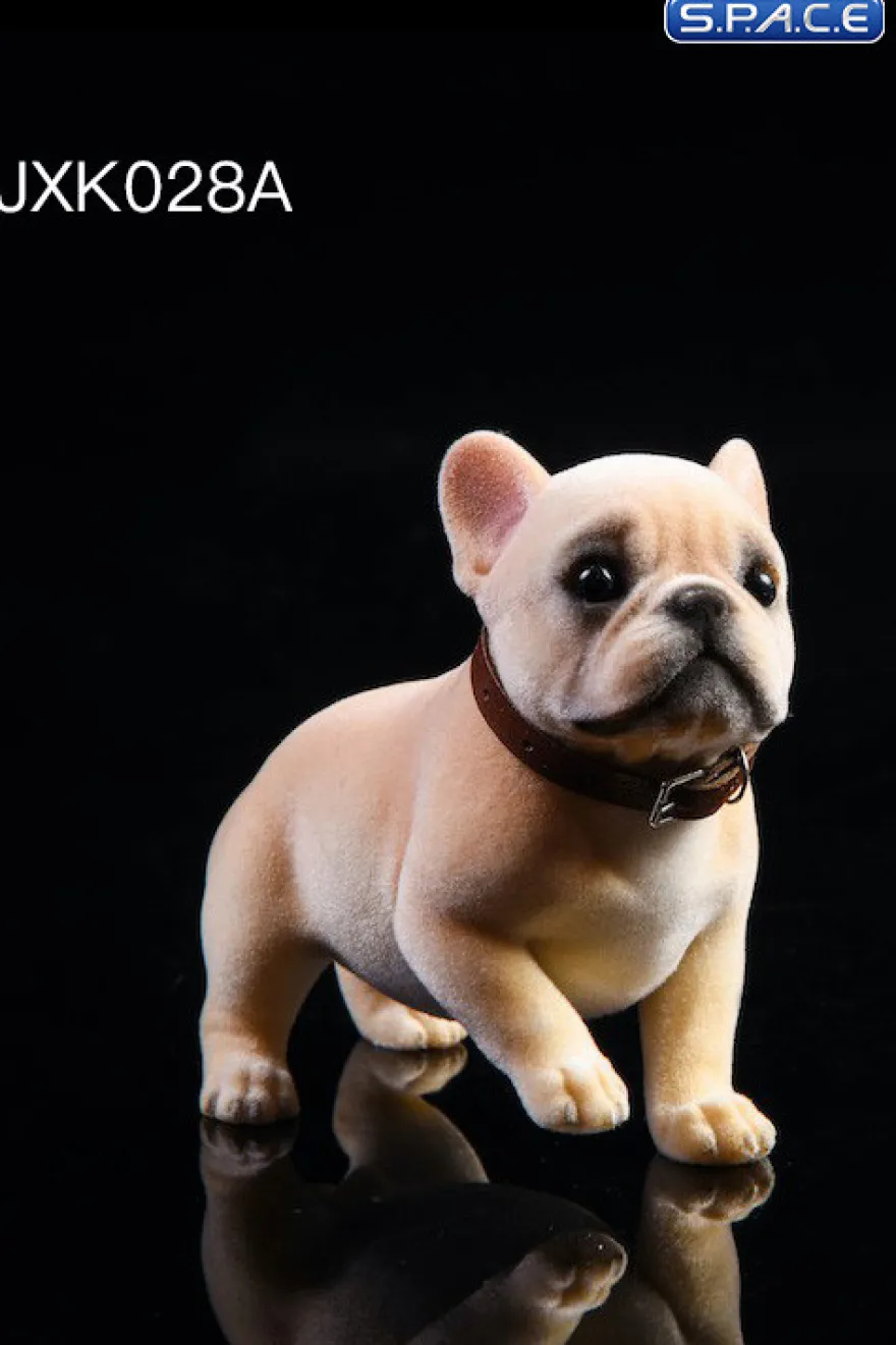 1/6 Scale French Bulldog Puppy