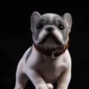 1/6 Scale French Bulldog Puppy