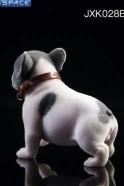 1/6 Scale French Bulldog Puppy