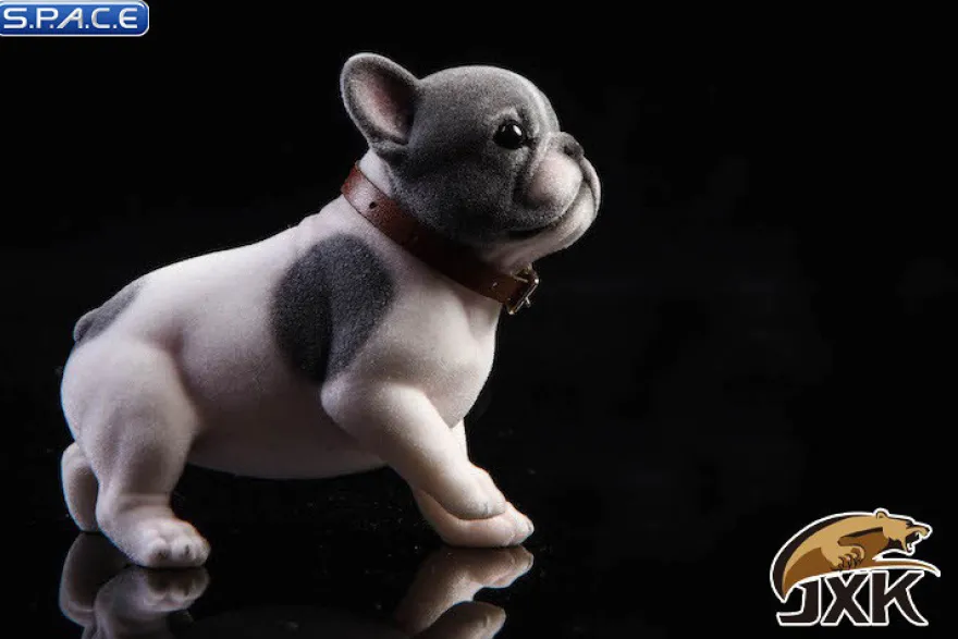 1/6 Scale French Bulldog Puppy