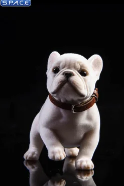 1/6 Scale French Bulldog Puppy