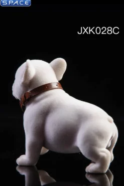 1/6 Scale French Bulldog Puppy