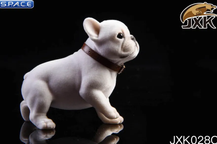 1/6 Scale French Bulldog Puppy