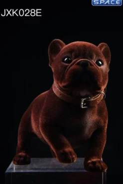 1/6 Scale French Bulldog Puppy
