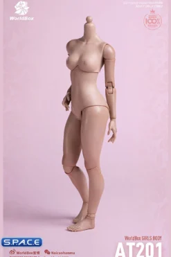1/6 Scale Girls Body AT201