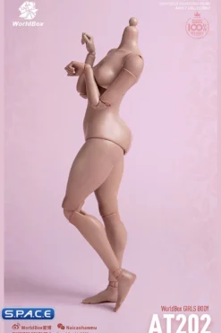 1/6 Scale Girls Body AT202