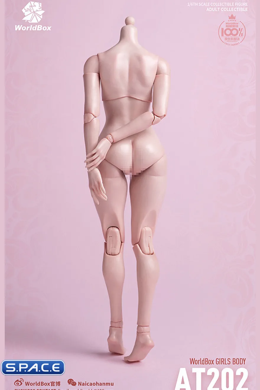 1/6 Scale Girls Body AT202