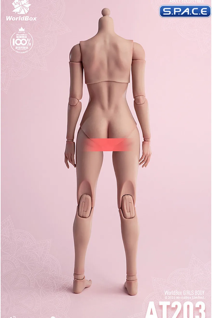 1/6 Scale Girls Body AT203