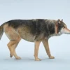 1/6 Scale Gray Wolf Version A2