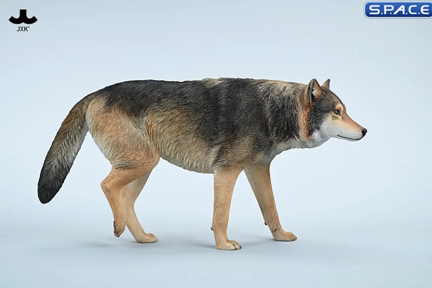1/6 Scale Gray Wolf Version A2