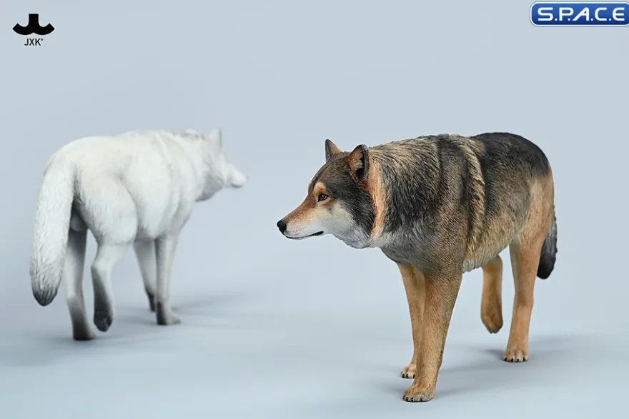 1/6 Scale Gray Wolf Version A2