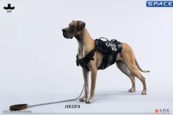 1/6 Scale Great Dane Version A