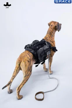 1/6 Scale Great Dane Version C