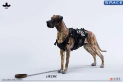 1/6 Scale Great Dane Version C