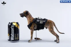1/6 Scale Great Dane Version C