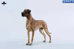 1/6 Scale Great Dane Version C