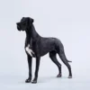 1/6 Scale Great Dane Version D