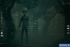 1/10 Scale Grey Alien Art Scale Statue