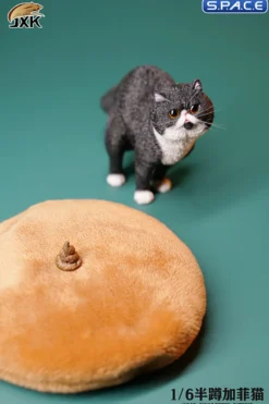 1/6 Scale half squatting Exotic Shorthair Cat