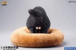 1/6 Scale half squatting Exotic Shorthair Cat