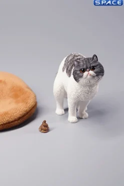1/6 Scale half squatting Exotic Shorthair Cat