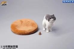 1/6 Scale half squatting Exotic Shorthair Cat