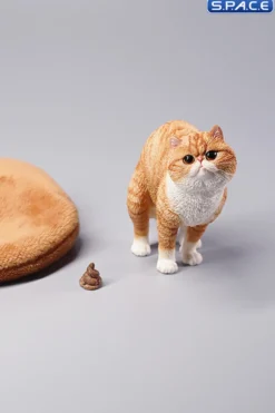 1/6 Scale half squatting Exotic Shorthair Cat