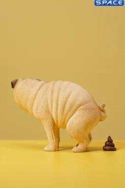 1/6 Scale half squatting Pug