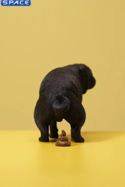 1/6 Scale half squatting Pug