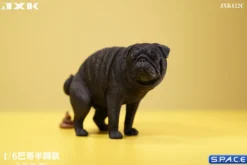 1/6 Scale half squatting Pug