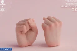 1/6 Scale Hand Set AT209A