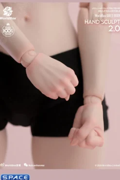 1/6 Scale Hand Set AT209A