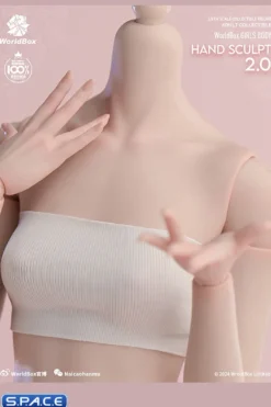 1/6 Scale Hand Set AT209B