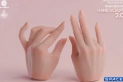 1/6 Scale Hand Set AT209B