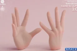 1/6 Scale Hand Set AT209B